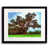 Black Framed Paper is unavailable