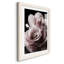 Rose noire II - photographie-1227621814-1227621809