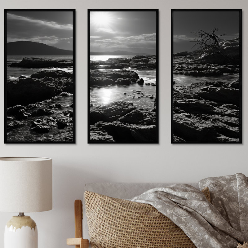 «Black and White Rocky Beach - Coastal Coral Under Water», ensemble d'art mural, Cadre flottant noir