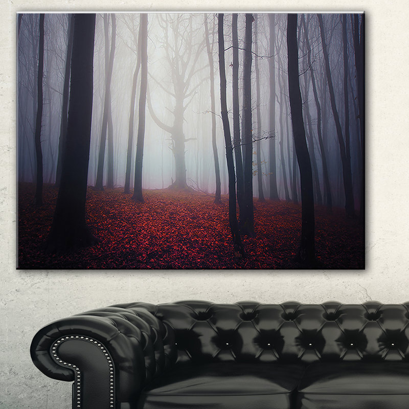 « dark effrayant éclairé misty forest », reproduction de photo sur toile tendue, H 30 po x l 40 po x P 1 po