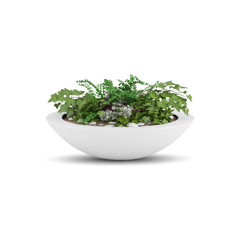 Oceanside Shallow Concrete Planter, White, 4.5" H x 18" W x 18" D