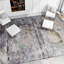 Indoor Rug