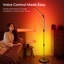 66.5cm Polished LED Novelty Floor Lamp