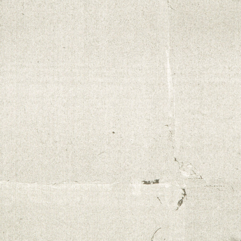 Hotaka 9.9' L x 36" W Wallpaper Roll