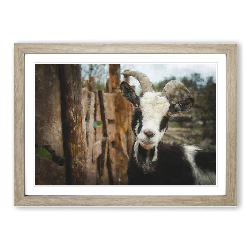 Goat Vol.1 - Picture Frame Painting, 48cm H x 65cm W x 2cm D, Oak Framed