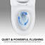 Toilette en céramique blanche 1,1 / 1,6, allongée, hauteur confortable, siège à fermeture douce, et blanc T036wt, confortable
