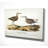 " Aviary Sketch III "-22188339-28043103-28043105