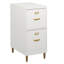 Classeur vertical 2 tiroirs Dahle-1879843350