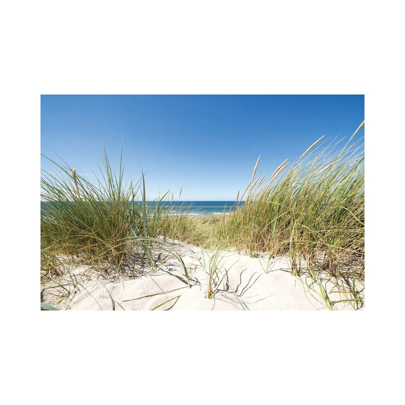 European Dune Grass At The North Sea Coast by Jan Becke - Wrapped Canvas Print, 66.04 cm H x 45.72 cm W x 3.175 cm D