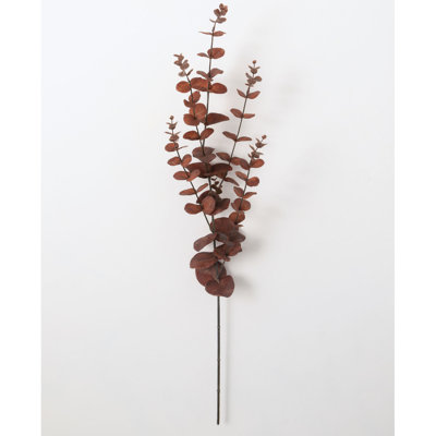 Jet eucalyptus