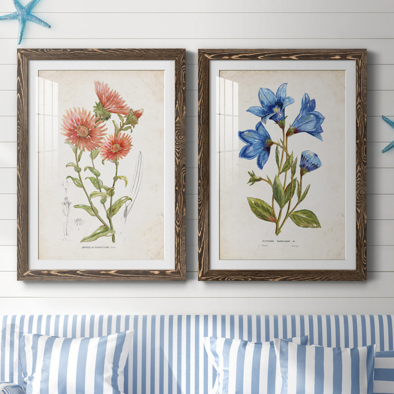 Botanical I - 2 Piece Print, White, Walnut Framed Paper, 44" H x 31" W x 1" D