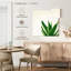 Harnek Succulent Simplicity Neutral I-109399307