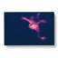 The Octopus in Abstract - Wrapped Canvas-55302978