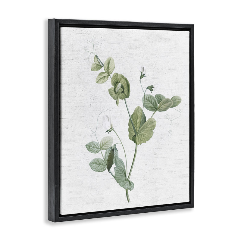 «Soft Country Botanical», art mural encadré flottant par lettres et lignes, Cadre flottant noir de jais, H 21 po x l 17 po