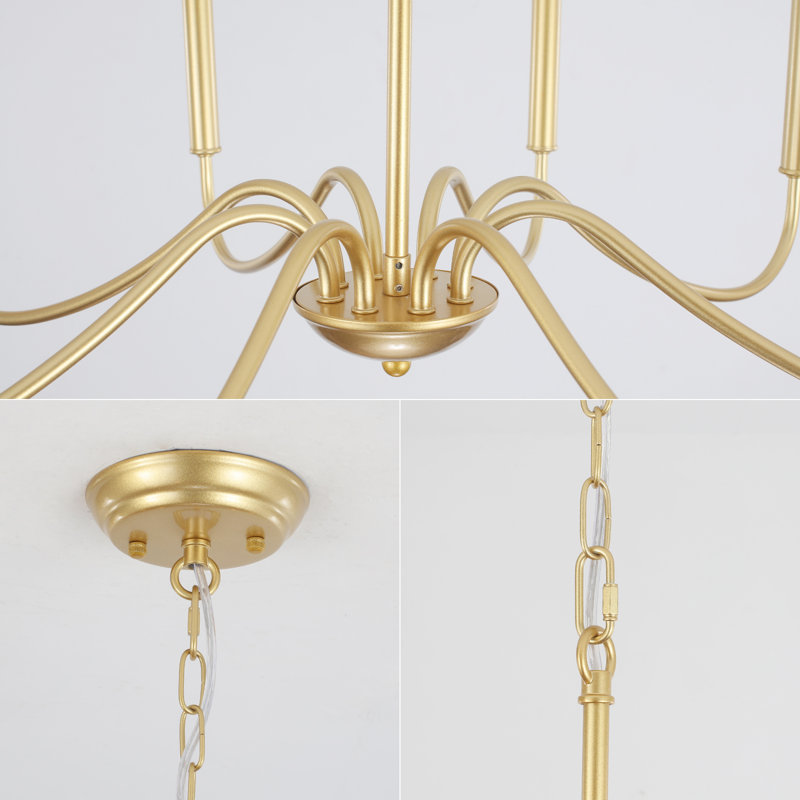 Brandia 8 - Light Dimmable Classic / Traditional Chandelier, Gold