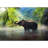 Elephant In The Water-88673500