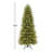 Guindin 10' Lighted Christmas Tree