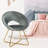 Woolhorpe Velvet Accent Chair-564011555