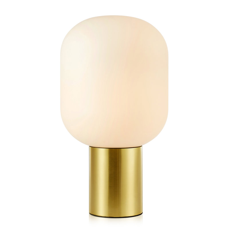 Oltorf Metal Novelty Lamp