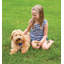 Nordic Ware Non-Stick Rectangle Puppy Love Pan