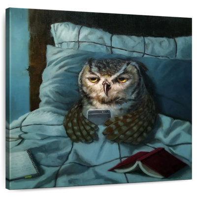 Chouette de nuit Ketti