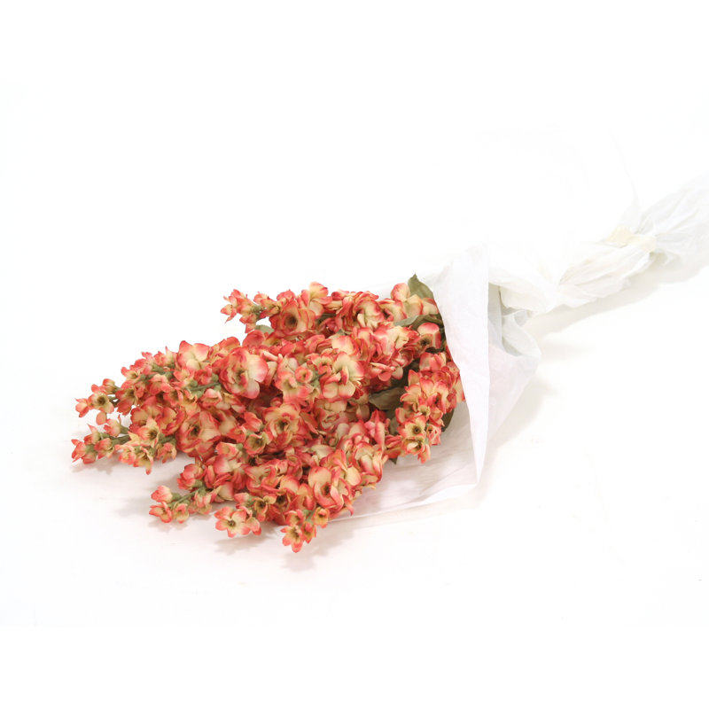 Bouquet de fleurs séchées