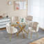 Chaise de salle à manger moderne (ensemble de 2) en velours et dossier confortable, convient à la salle à manger, au salon, au café, à structure simple
