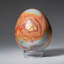 Œuf polychrome poli de Madagascar (0,6 lb)-103622241-103622242