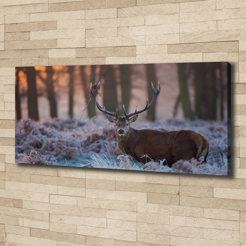 Deer At Sunrise - No Frame Print on Canvas