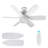 Fans Lights With Remote, 6 Speed 3 Color Fan Lights In Summer With Extender