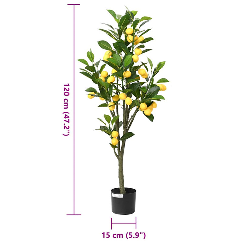120cm Plant