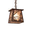 1 - Light Pendant