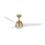 Thalia Smart LED Downrod Ceiling Fan-443934041-443934040