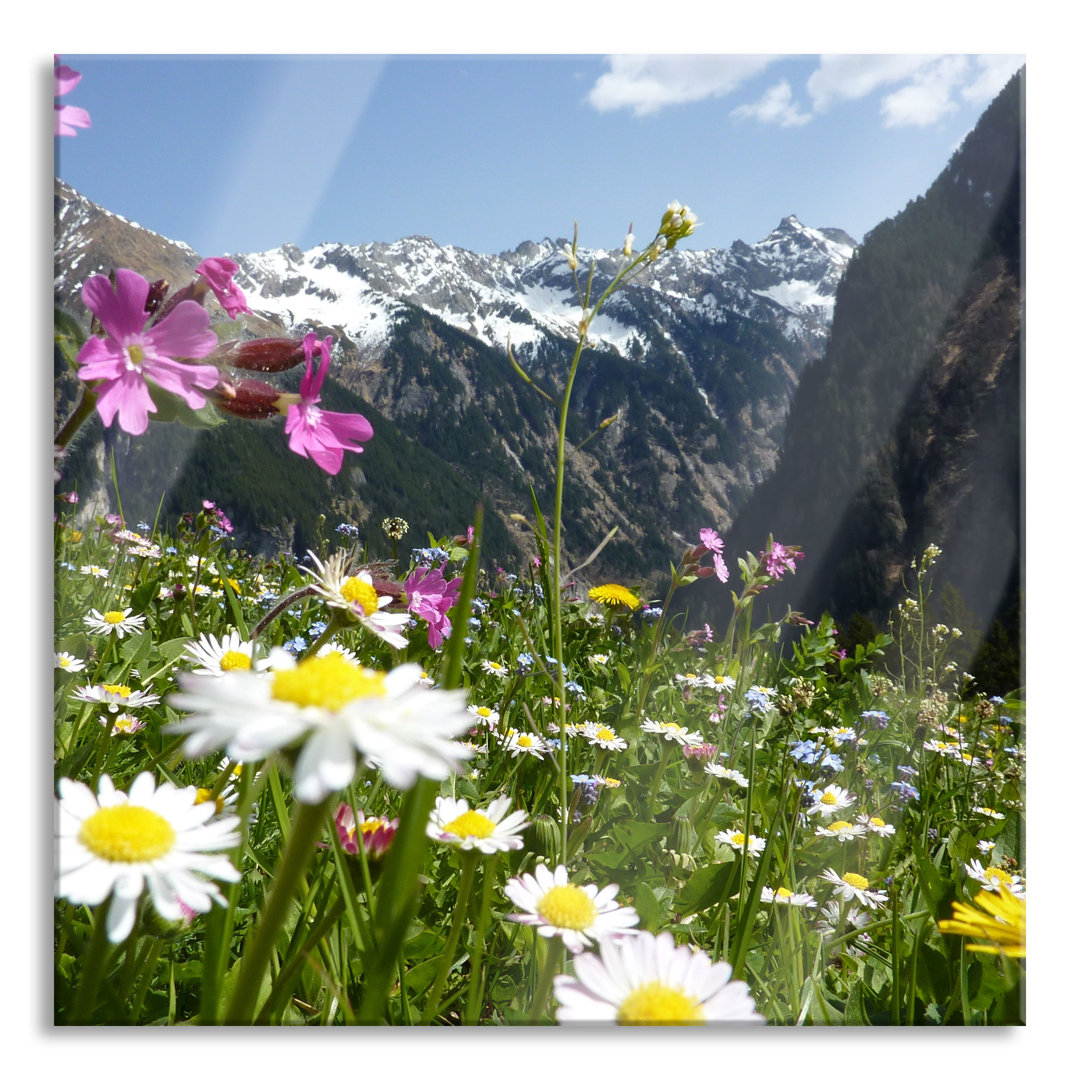 Glasbild Wunderschöne Blumen Alpenwiese