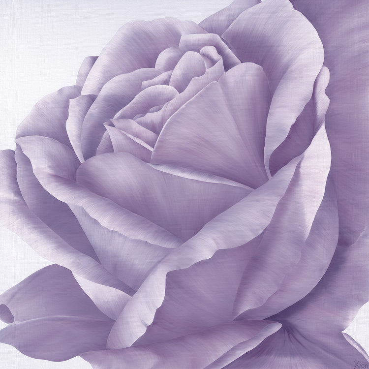 « magnificence ii », impression sur toile, H 12 po x l 12 po x P 0,75 po, Toile tendue, Pas de tapis
