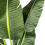 78'' Faux Banana Leaf Tree in Pot