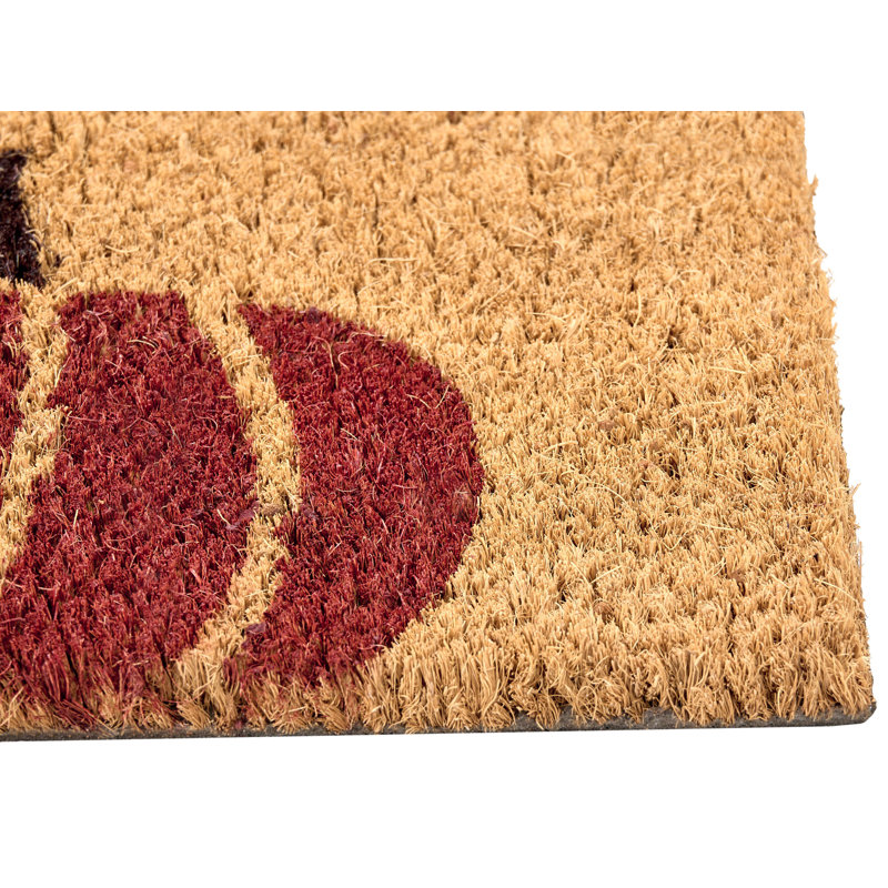 Non-Slip Indoor / Outdoor Doormat