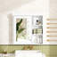 Pharmacie avec miroir 30 po x 28 po
