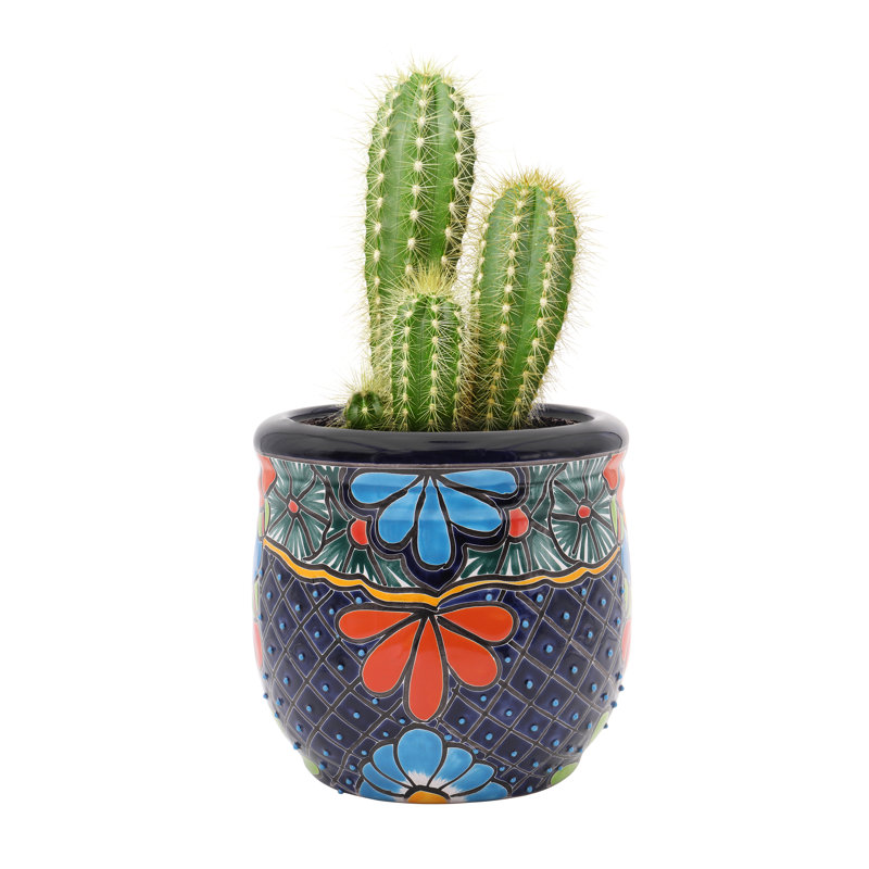 Talavera Ceramic Pot Planter
