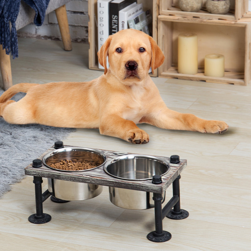 Elevated Feeder