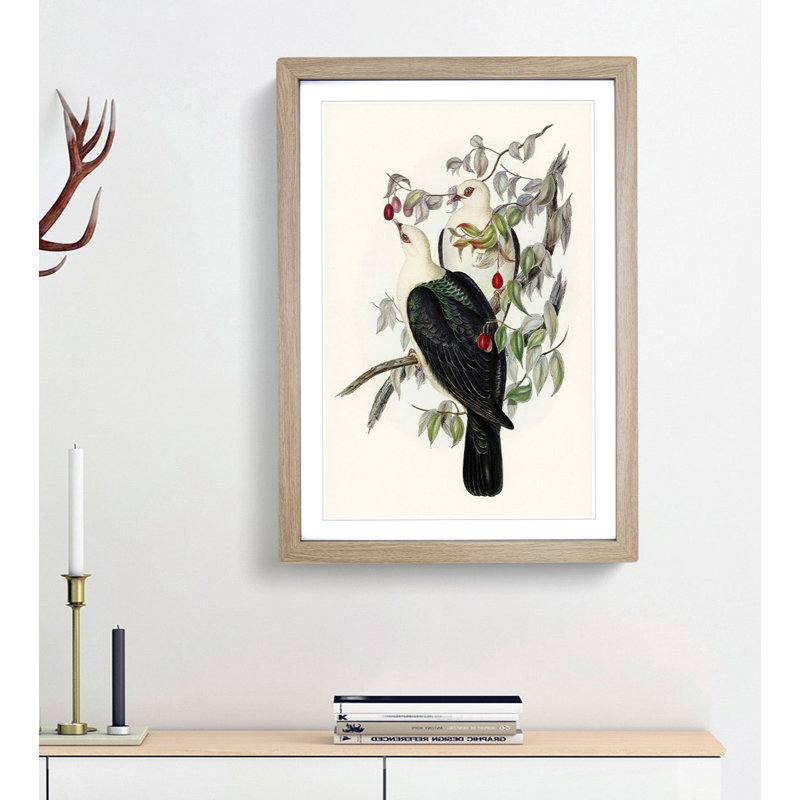 White-Headed Fruit Pigeons by Elizabeth Gould - Framed Print, Oak Framed, 36cm H x 27cm W x 2cm D