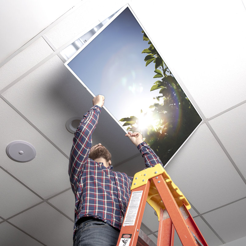 Tree Classroom Fluorescent Light Covers for Ceiling Lights - For 2x4 Light Fixture - by Octo Lights