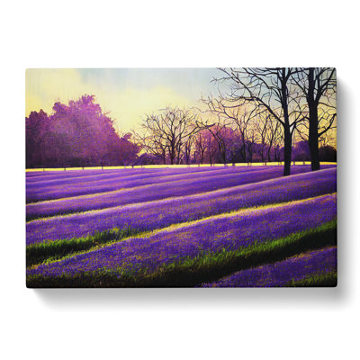 Tranquil Bluebell Field Sunrise - Wrapped Canvas