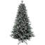 10 Ft. Holliston Tree-772299489