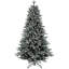 Arbre Holliston-1847440706