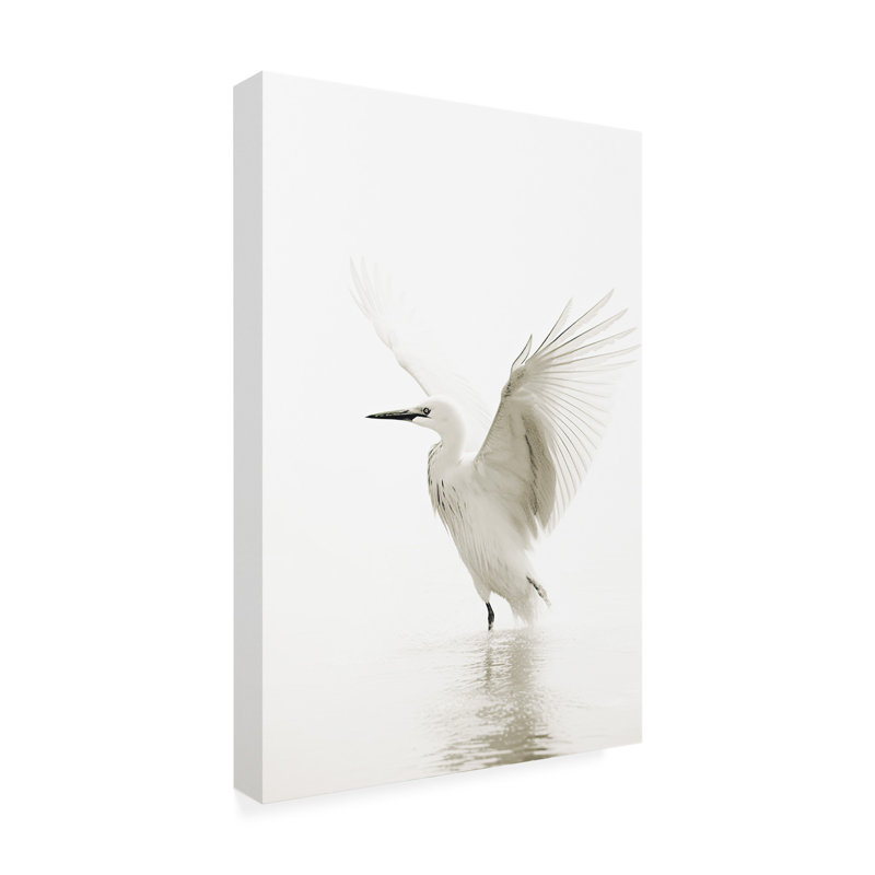 " White Bird " by Sasha, 24" H x 16" W x 2" D