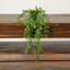 17 po Plantes suspendues artificielles - ensemble de 4
