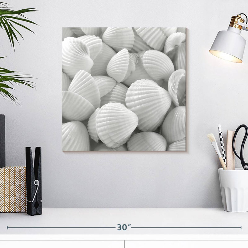 Aletra White Shells, 16" H x 16" W