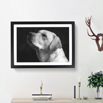 Labrador Dog - Picture Frame Photograph Print
