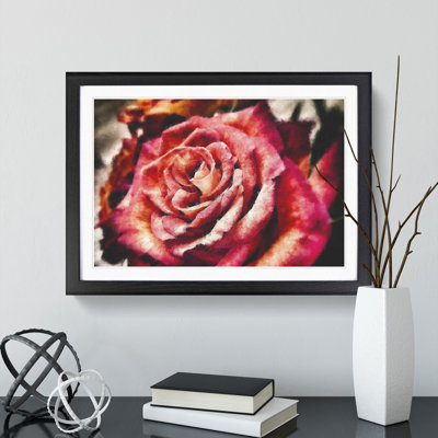 Pink Rose Flower Vol.4 - Framed Print